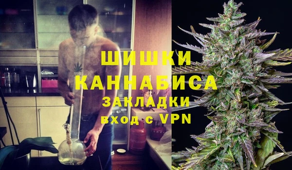 шишки Кукмор
