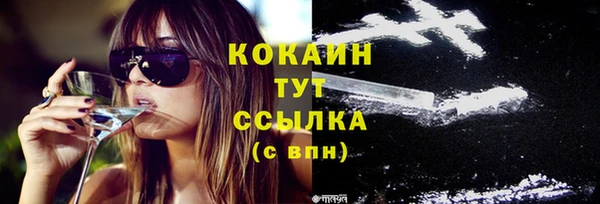 шишки Кукмор