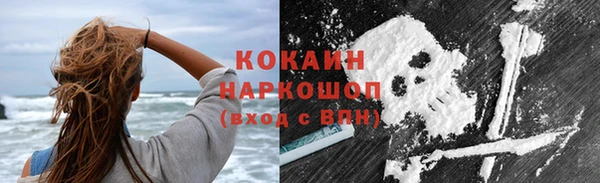 шишки Кукмор