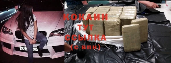 шишки Кукмор